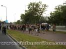 Viole on tour 2010 ::  
