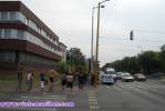 Viole on tour 2010 ::  