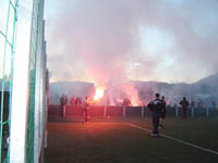 svoboda_violam01