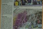  Maribor - Domžale (9. naslov prvakov) 